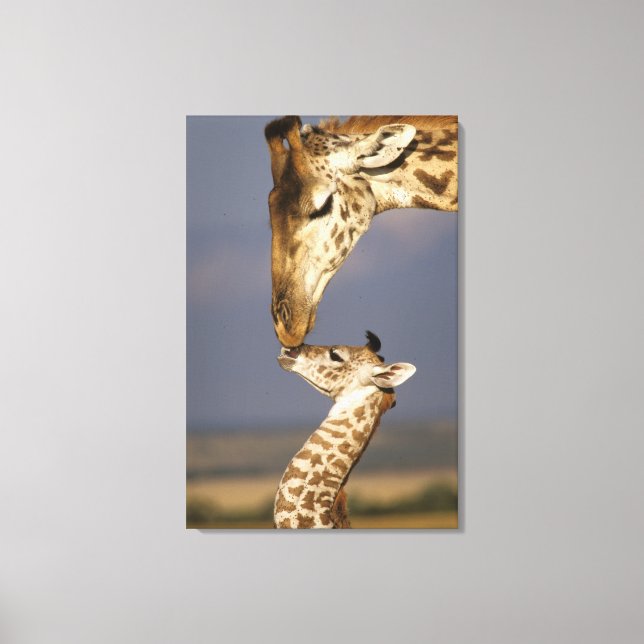Toile Girafe embrassant un bébé girafe (Recto)