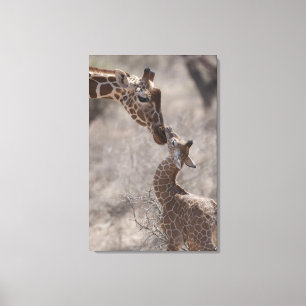 Toile Girafe, Kenya, Afrique
