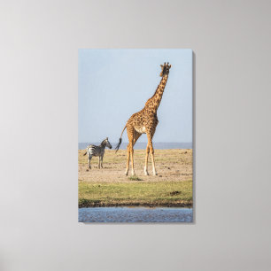 Toile Girafe près d'un point d'eau