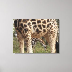 Toile Girafes 4