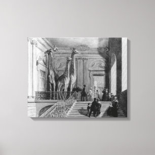 Toile Girafes sur l'escalier dans les Anglais
