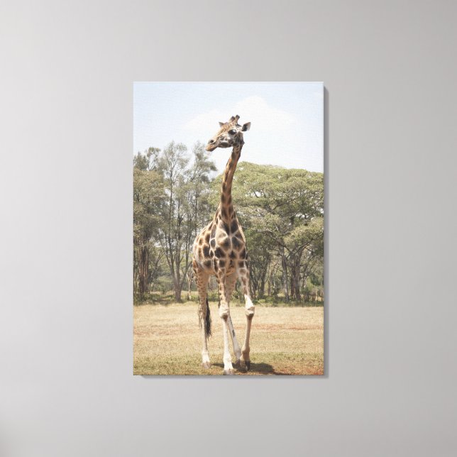 Toile Giraffe 3 (Recto)