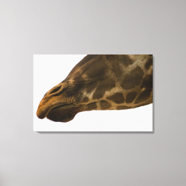 Toile Giraffe, gros plan (Recto)