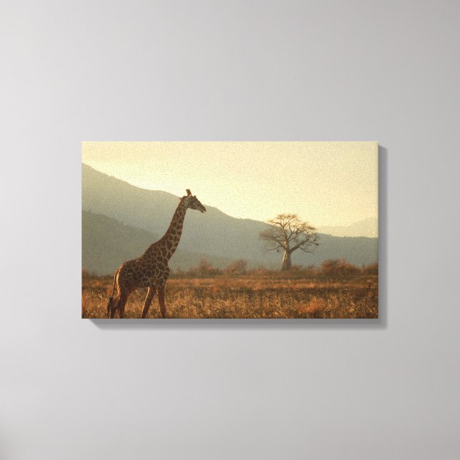 Toile Giraffe in the Savannah (Recto)
