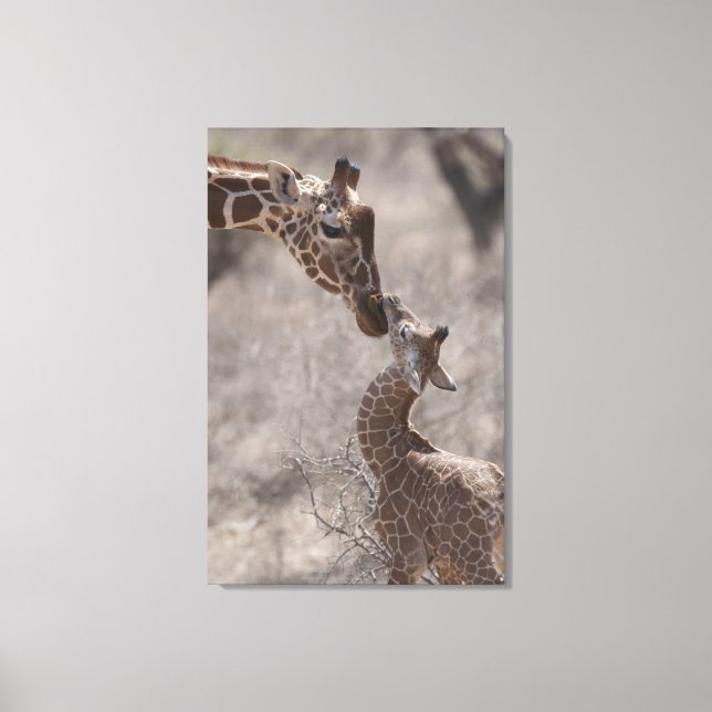 Toile Giraffe, Kenya, Afrique (Recto)