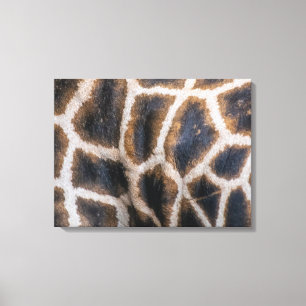 Toile Giraffe peau motif vers le haut fermer l'impressio