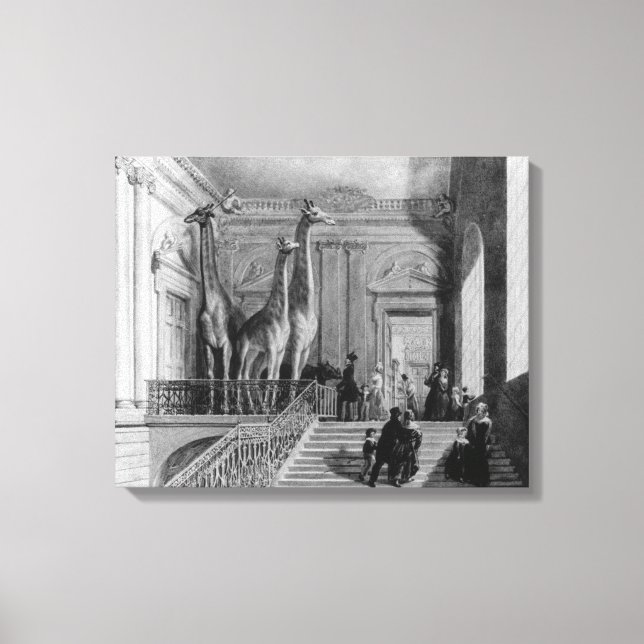 Toile Giraffes sur l'escalier aux Anglais (Recto)