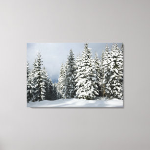 Toile Glace et neige Pine Woodland, Autriche