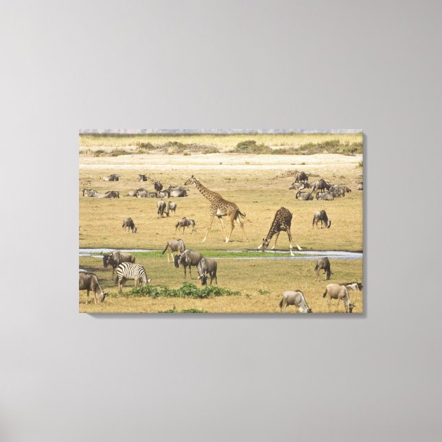 Toile Gnous, Zèbres et Girafes (Recto)