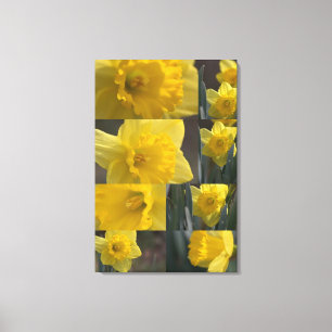 Toile Golden Crown Narcissus (Daffodil) Photo Collage