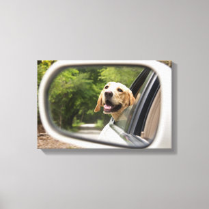Toile Golden Labrador In Rearview Mirror