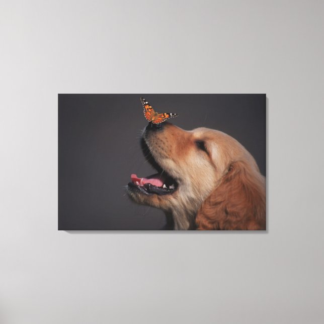 Toile Golden Retriever Avec Papillon Sur Son Nez (Recto)