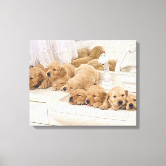 Toile Golden Retriever ; est relativement moderne et 3 (Recto)