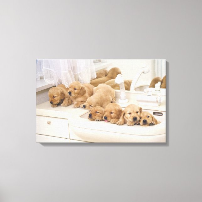 Toile Golden Retriever ; est relativement moderne et 3 (Recto)