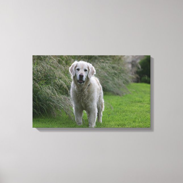 Toile Golden Retriever Running 2 (Recto)