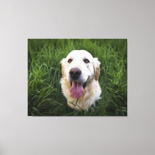 Toile Golden Retriever souriant