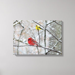 Toile Goldfinch et Cardinal