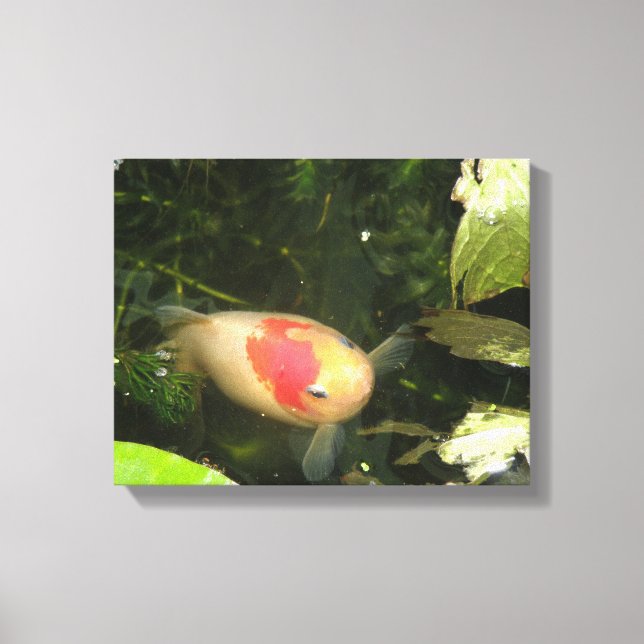 Toile Goldfish Canvas Print (Recto)