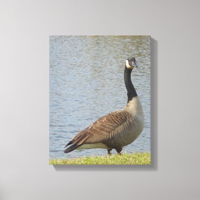 Toile Goose By Pond Canvas (Recto)