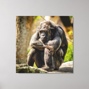 Toile Gorilla