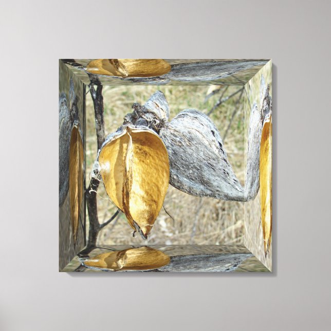 Toile Gousses d'Asclépiade - Boîte Miroir (Recto)