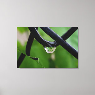 Toile Goutte de pluie