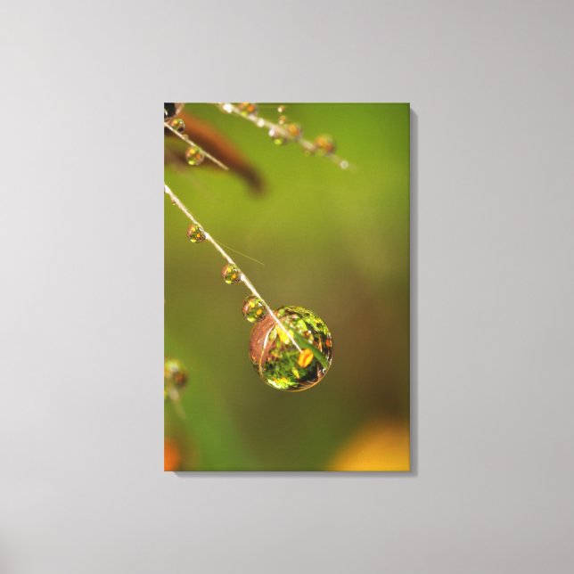 Toile Goutte d'eau en gros plan (Recto)