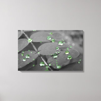 Toile Gouttes de pluie d'Emeraude