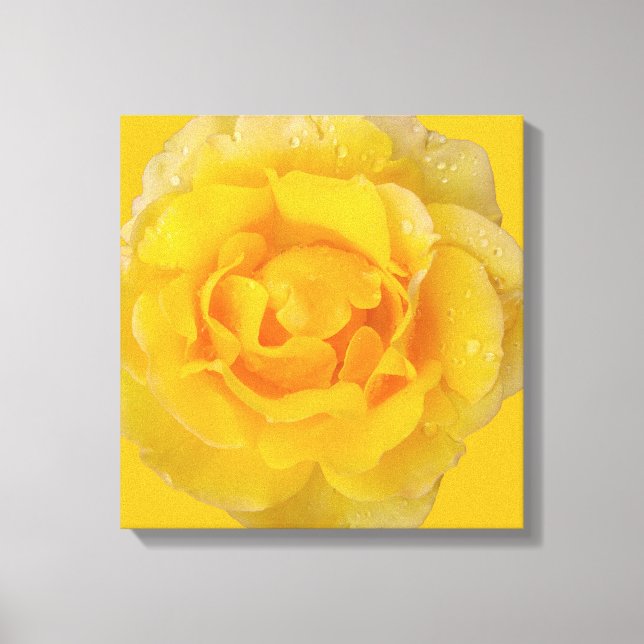 Toile Gouttes d'eau de rose jaune romantique (Recto)