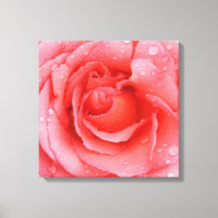 Toile Gouttes d'eau de rose rose romantique