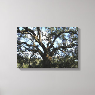 Toile Grand arbre