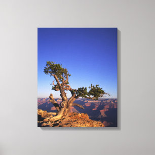 Toile Grand Canyon, Arizona, États-Unis