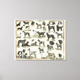 Toile Grand chien vintage de vétérinaires et d'amoureu