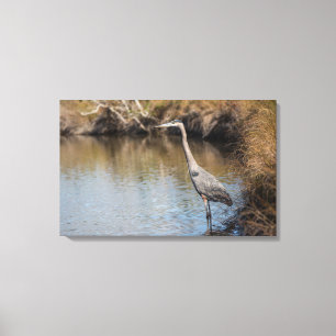 Toile Grand Héron bleu debout dans l'eau