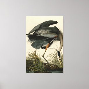 Toile Grand héron bleu des oiseaux d'Amérique d'Audubon