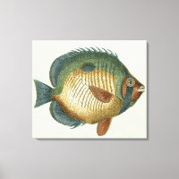 Grand Poisson Coloré