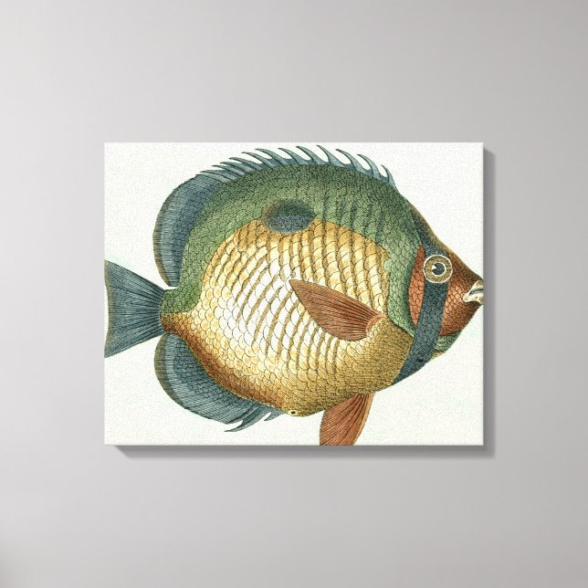 Toile Grand Poisson Coloré (Recto)
