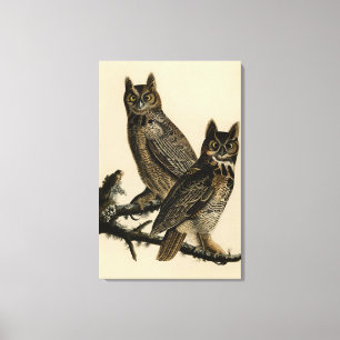 Toile Grande Chouette à la corne des oiseaux d'Amérique 