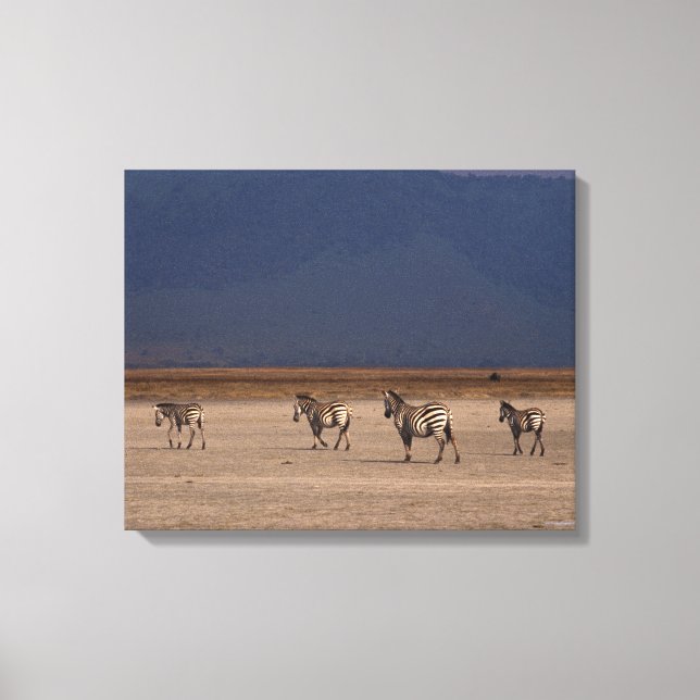 Toile Grant Zebra 2 (Recto)
