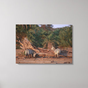 Toile Grant Zebra 5