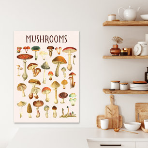 Toile Graphique de champignons vintage