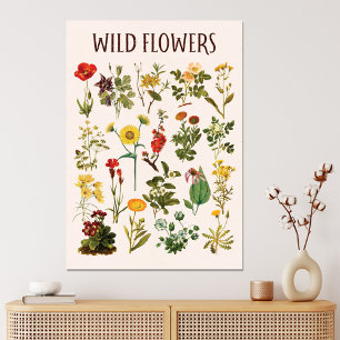 Toile Graphique de fleurs sauvages vintage