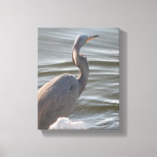 Toile Great Blue Heron by the Water