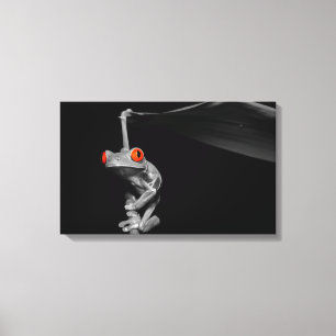 Toile Grenouille d'arbre observée par rouge