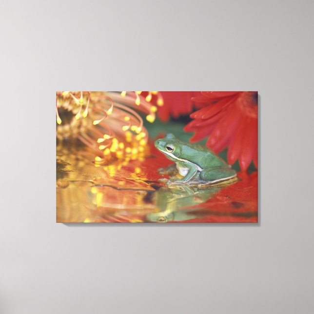Toile Grenouille et reflets parmi les fleurs. Crédit : (Recto)