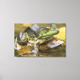 Toile Grenouille le long de la rivière Buffalo, point mi