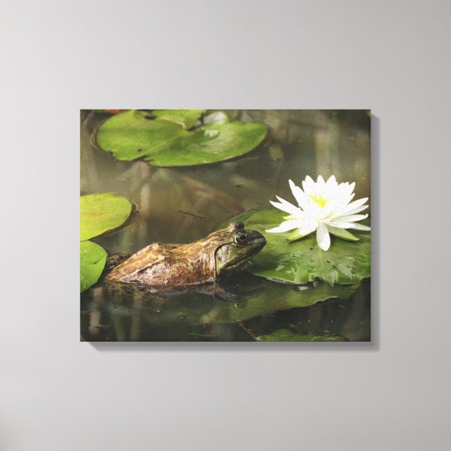 Toile Grenouille taureau en Lily Pond (Recto)