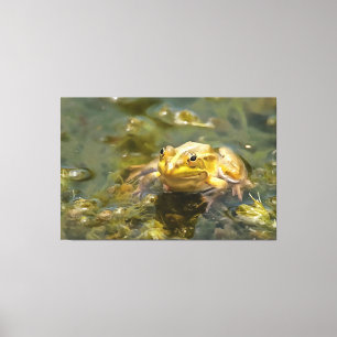 Toile Grenouille Verte Dans La Peinture Acrylique À Eau