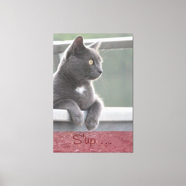 Toile Grey Kitty (Recto)