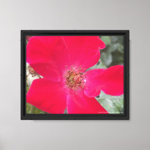 Grèyforaday Rouge Floral